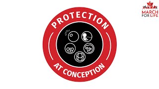 Protection at Conception... WHY? 2025 NMFL Theme Launch Announcement