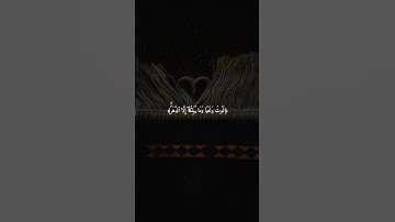 القارئ ياسر الدوسري #القرآن_الكريم #القرآن #قرآن #راحة_نفسية #ياسر_الدوسري