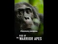 Armia Małp (Rise of The Warrior Apes) Lektor - Full HD 1080p