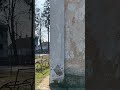 Наш сільський Толік-музикант #мамаплюс7 #like