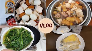 One Day Vlog3  懶人必備的大同電鍋滷肉料理電鍋快速簡單 ... 