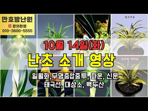 유튜브 썸네일