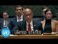 US strikes in Iraq and Syria | Security Council on the Middle East | United Nations