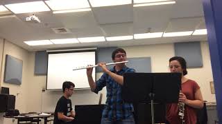A Whole New World - Flute, Clarinet, and Piano Trio