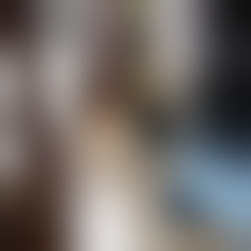 Kucing makan daun ganja sampe gak sadarkan diri😅🍁