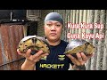 Kura-Kura Masak Sup Daun Ubi Sampai Lembut Guna Kayu Api,Chef Borneo.