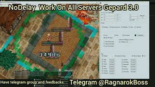 Ragnarok NoDelay Bypass Gepard Shield 3.0 auto aim, maya purole, mvp finder, esp, refresh 