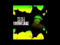 Miniature de la vidéo de la chanson Denham Town Dub