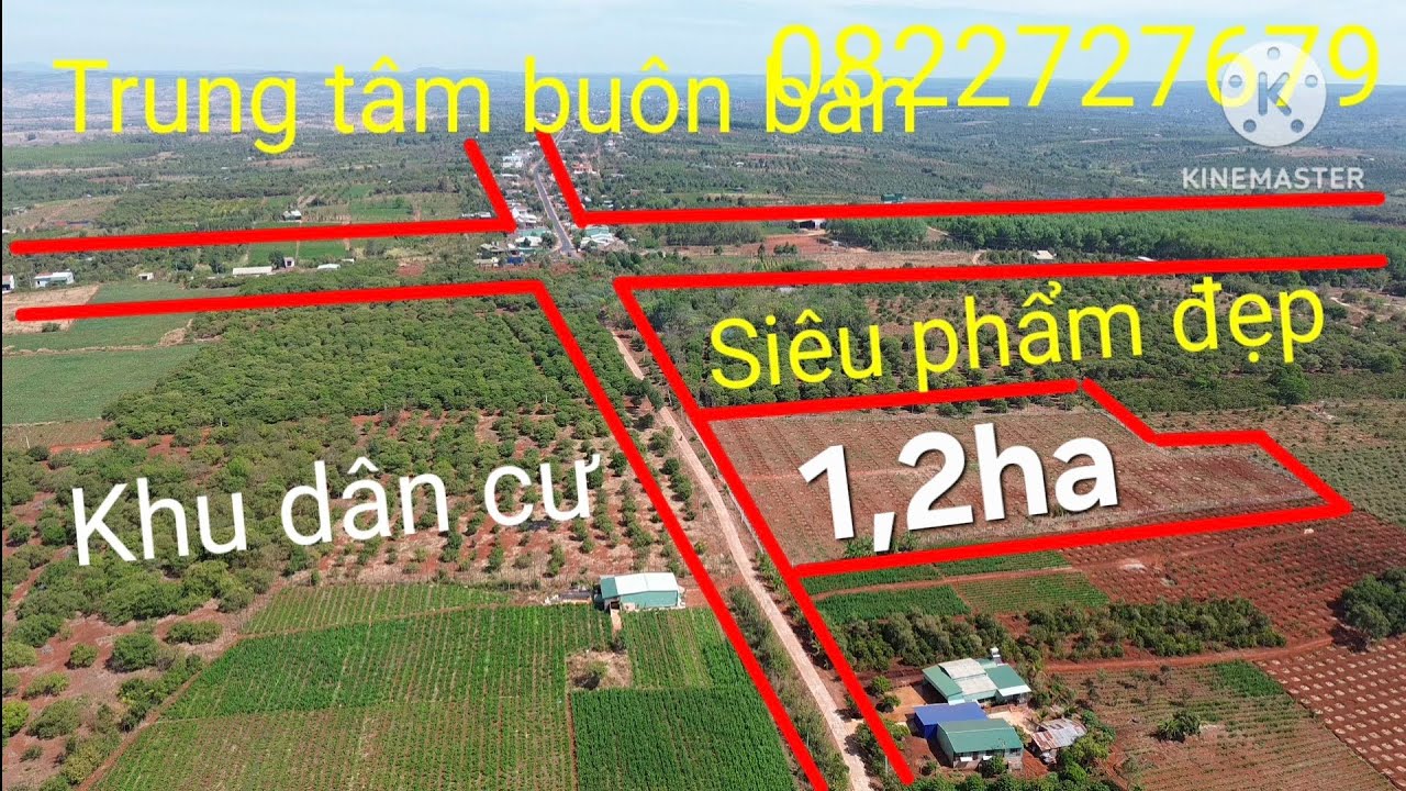 1,2ha ôm 100m bê tông, cà phê và sầu riêng, ngay trung tâm buôn bán, ace quan tâm lh 0822727679.