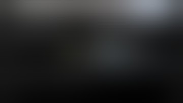 OUDL: Functors, Monoids & Monads