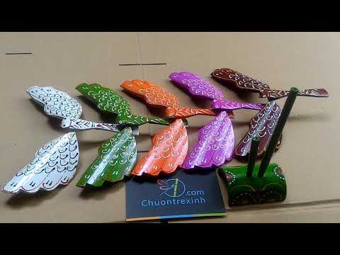 Video Chim tre cao cấp
