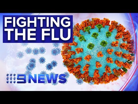 Inside the emergency flu testing lab dealing with horror season | Nine News Australia
