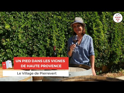 Le Village de Pierrevert - Un pied dans les vignes de Provence