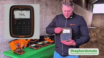 Gallagher W0 & W1 electronic weigh scales feature comparison