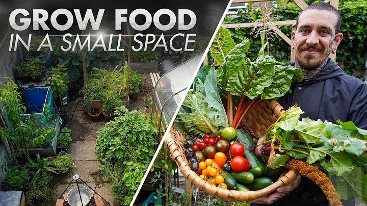 10 tips to grow your own food in a small space - DayDayNews