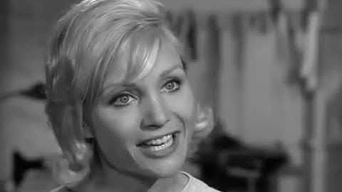 The Fugitive Season 1 Episode 5   Never Wave Goodbye Part 2