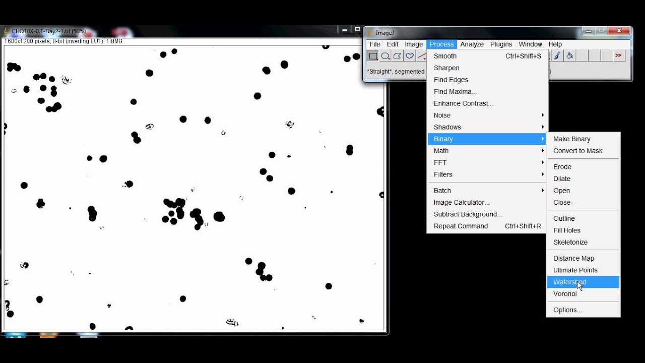 Counting Cells With Imagej