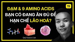 Protein and the 9 Essential Amino Acids: How Eating Enough Improves Hormones, Sleep, and Muscles