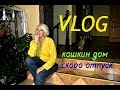 VLOG.Кошкин дом.Куда в отпуск?