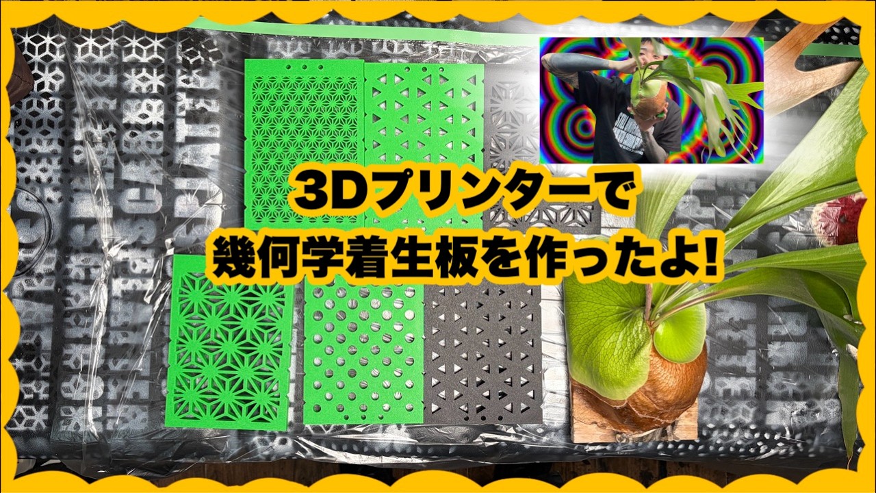 3Dプリンターでビカクシダの板付板を作った。 - YouTube