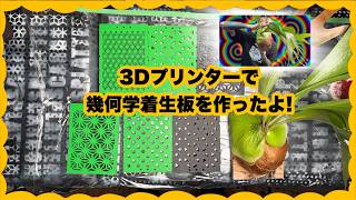 3Dプリント着生材∞チタン7枚 3Dプリンターでビカクシダの板付板を作った。 - YouTube