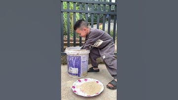 Khi da tôi đen và đứa em kiểu | Tippi Vips #tippitv #tippivips