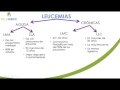 VIRTUAL HEMATOLOGÍA LEUCEMIAS