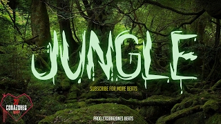 'JUNGLE' insane FREE trap beat 2017 - Drake type beat - hard dark instrumental