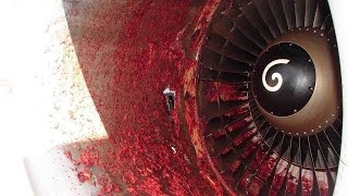 BIRDS VS AIRCRAFT   VIDEO COLLECTION 2016   CRASH  5