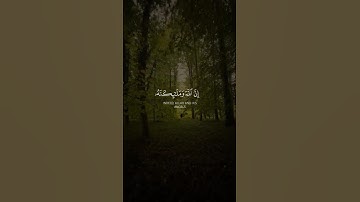 القرآن الكريم | سورة الأحزاب | آية 56 🤍#القرآن_الكريم #قرآن #quran #يوم_الجمعة