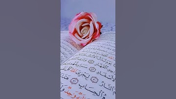 ماتيسر من القرآن الكريم #حالة_واتس_تلاوة_قرأنية #قران #اكسبلور #youtube #trending #تلاوات #beautiful