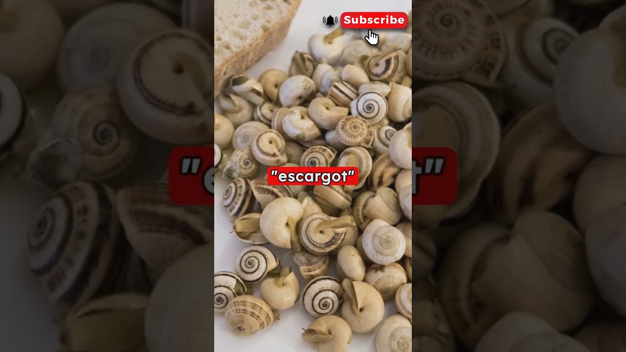 "Fascinating French Facts | Unlocking the Wonders of France 🇫🇷 