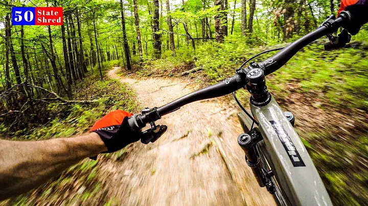 THE SECRET IS OUT  50 STATE SHRED: VIRGINIA