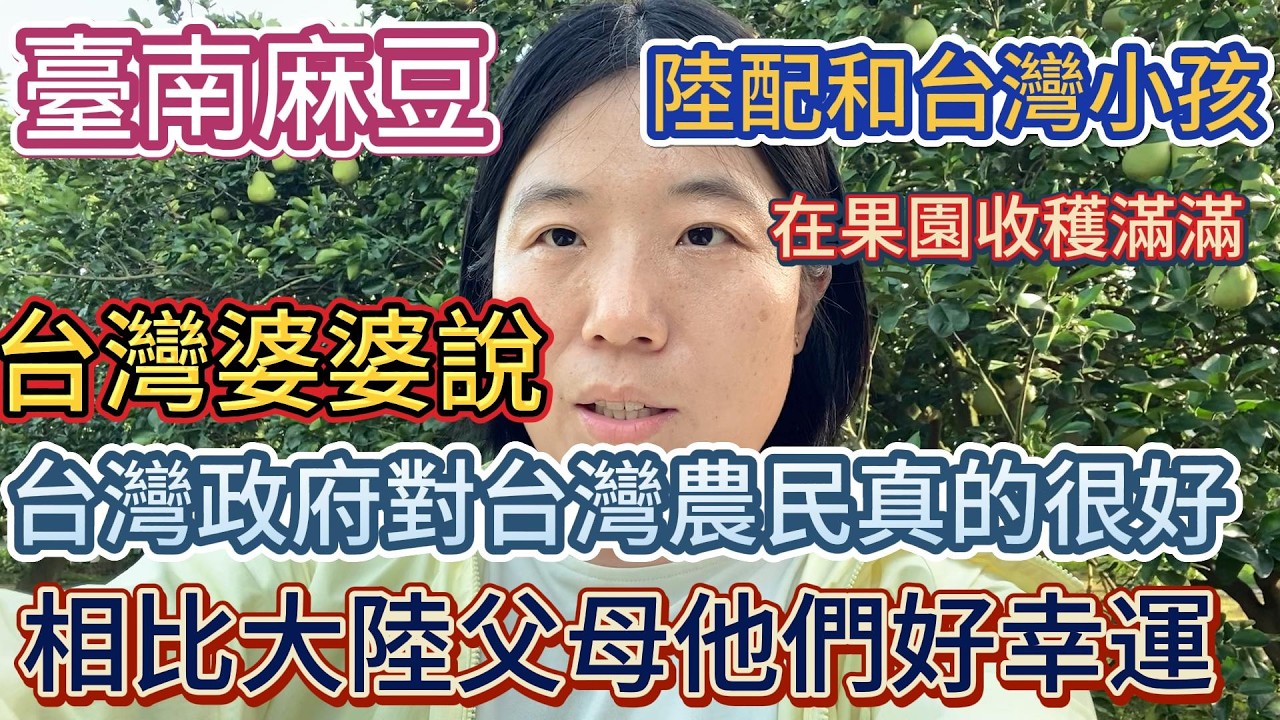 陸配和台灣小孩去臺南麻豆文旦果園一日游玩,收穫滿滿 | 台灣公婆說:台灣政府對台灣農民真的很好,相比我大陸的父母,台灣公婆真的很幸運,很幸福 縮圖