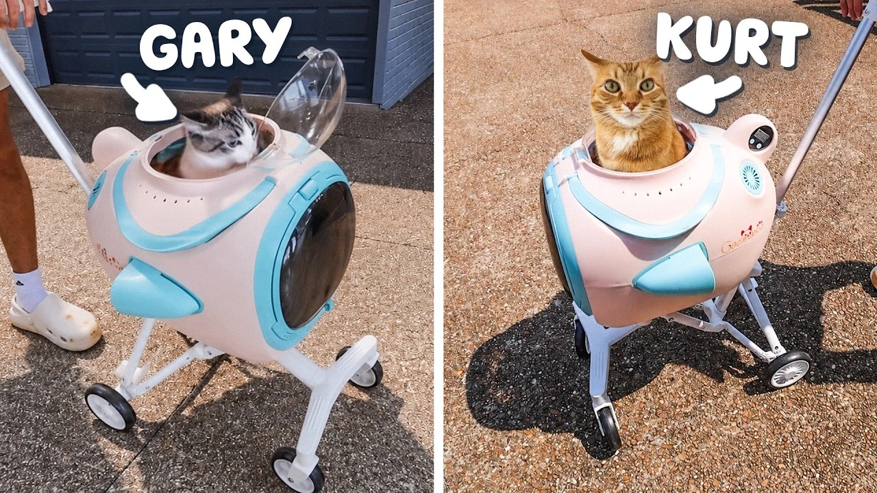 Latest Title & Thumbnail