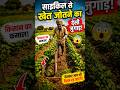 भारत का सबसे सस्ता ट्रैक्टर - साइकिल जुगाड़! 🚲🇮🇳 #shorts #farmer #trending #shortsfeed