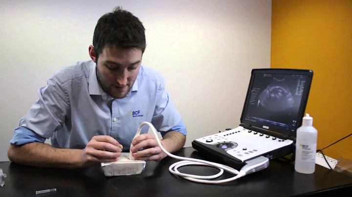 Ultrasound Guided Needle Biopsy Techniques Video 4 - Sampling Techniques FNA