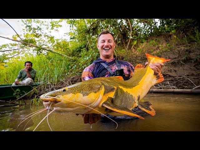 River Food Chain Fishing Challenge! Worms to Giant Fish