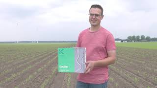 Effectieve Bestrijding Van Bonenvlieg Met Nuttige Nematoden Ervaring Van Wilco Remijn