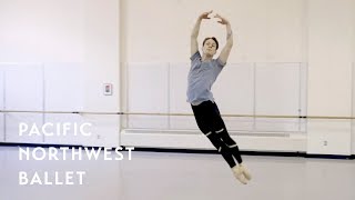 The Sleeping Beauty - Bluebird Variation (Pacific Northwest Ballet) Resimi