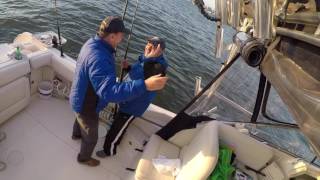 Hudson River Striped Bass &amp; Blue Fish Fishing