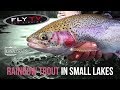 FLY TV - Rainbow Trout Fly Fishing in Small Lakes