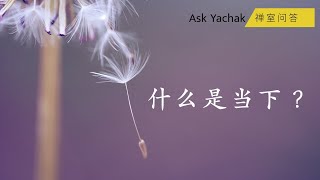 Ask Yachak 禪室問答：什麼是當下？