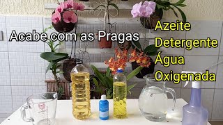 DETERGENTE + ÁGUA OXIGENADA + AZEITE Acabe com os Pulgões e  Cochonilhas  - Inseticida Caseiro