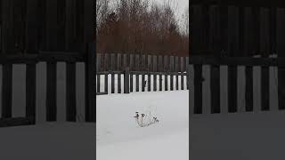 #Снег,снег на даче.Крыша 
