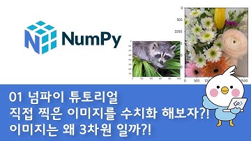 0201 넘파이 Numpy 이미지는 왜 3차원일까, 내가 찍은 사진을 넘파이 배열로 만들어 볼까?!