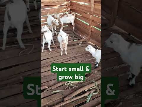 A humble beginning
