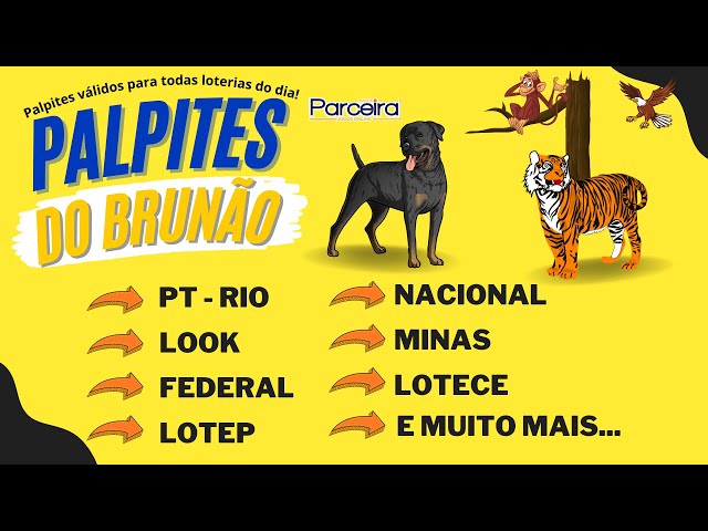 Palpites para jogo do bicho de Quinta- Feira - 01/06/2023 