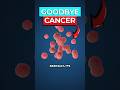 Scientists Eliminate Pancreatic Tumours