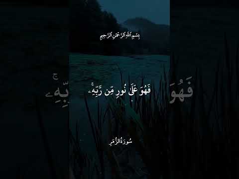 أ ف م ن ش ر ح ٱلل ه ص د ر ه ۥ ل ل إ س ل م ف ه و ع ل ى ن ور م ن ر ب ه ۦ تلاوات اهميه